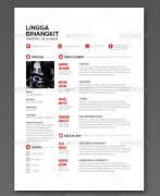 resume templates for indesign cs5