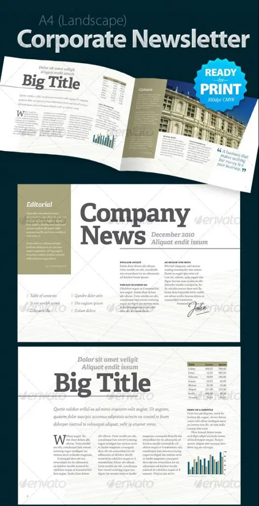 46+ Printable Newsletter Templates in PSD & InDesign Formats